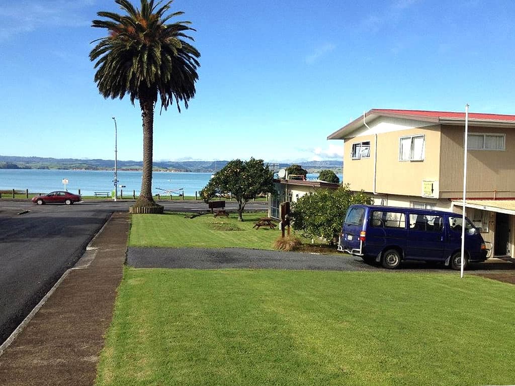 Kawhia Motel entrance view with palm tree